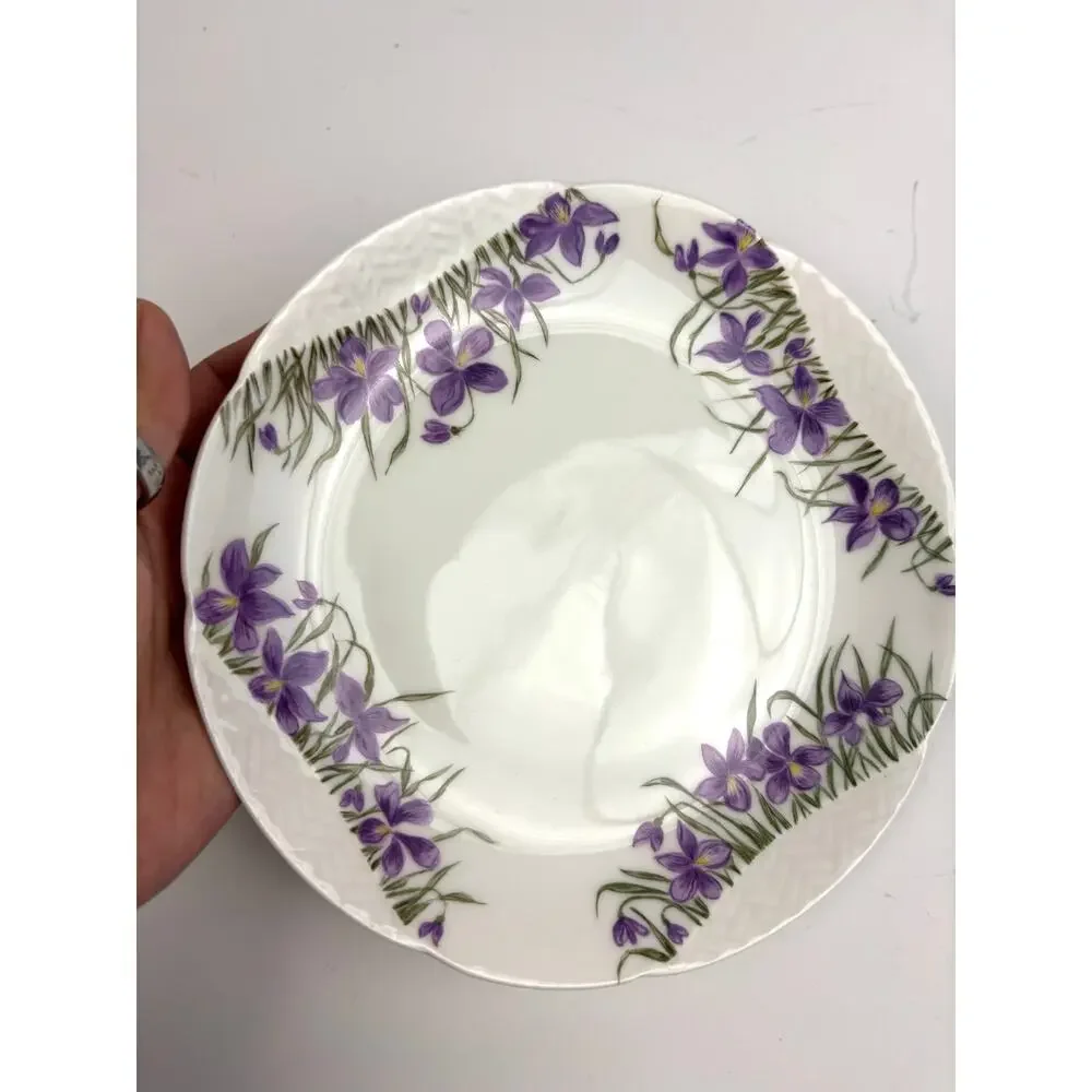 Antique H & C Haviland Limoges France 7.5